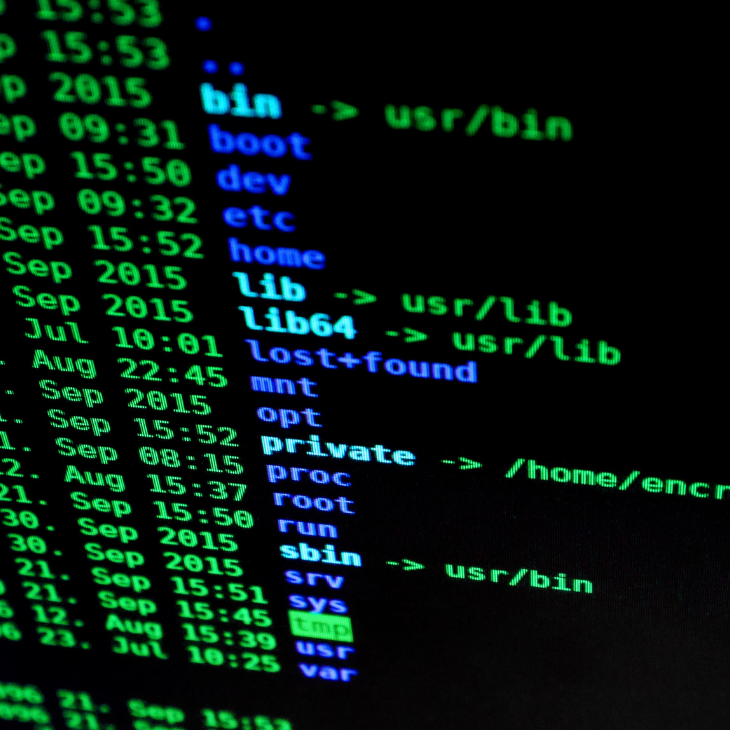Ethical Hacking